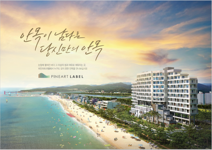  [강릉 안목 해변 파인아트라벨] 생활형 숙박시설 분양정보, 잔여 호실 문의 및 모델하우스 예약