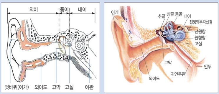  후유장해 해설 - 귀의 장해