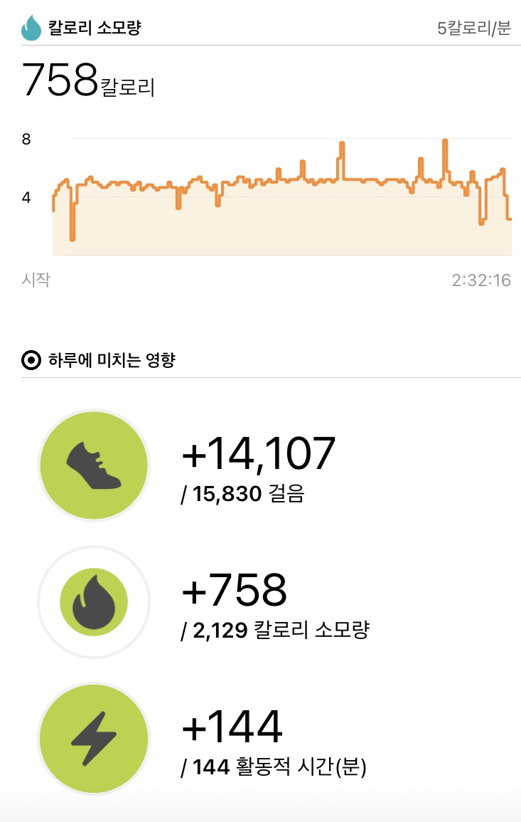  하루걷기:) 2021년 05월 02일 일요일