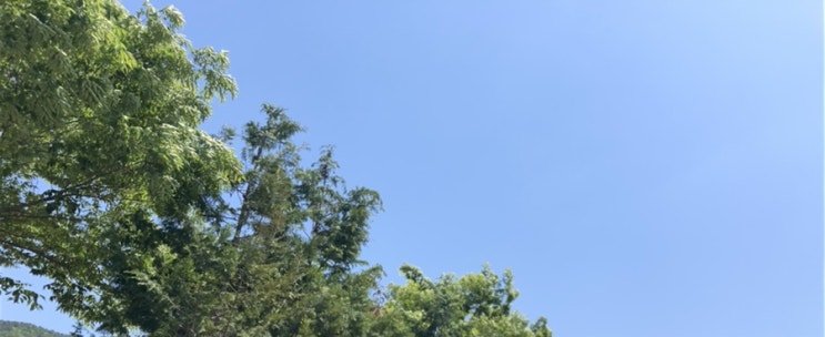  3일차 일기