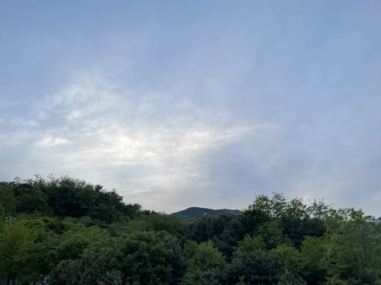  5월3일 매일매일 챌린지 #오늘일기