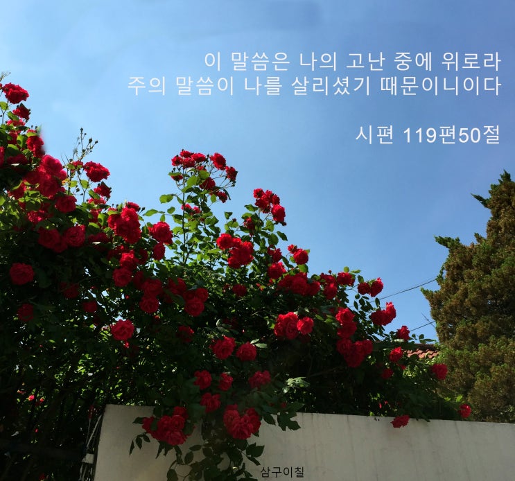  2021년 05월 03일 말씀