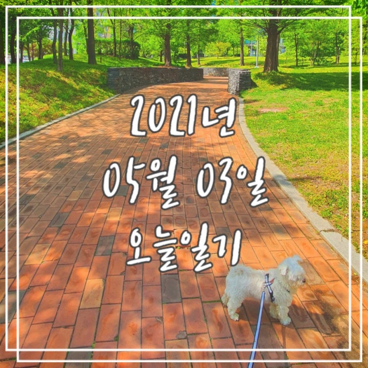  2021년 5월 3일