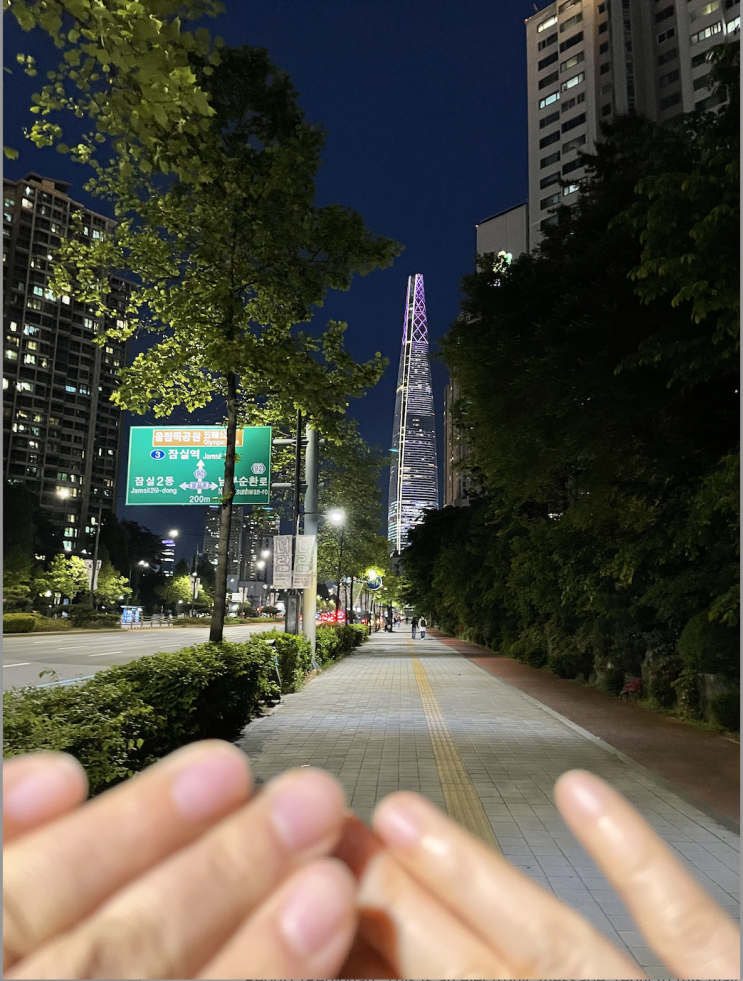  저녁산책길 (feat. 남의편과 트리지움산책길)