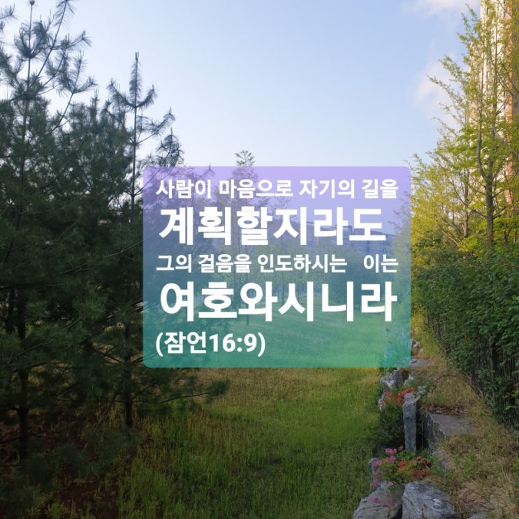  인도하시는이
