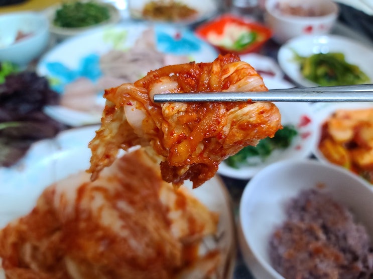  김수미김치 관찰카메라24김치공장 수육과 함께 맛보기