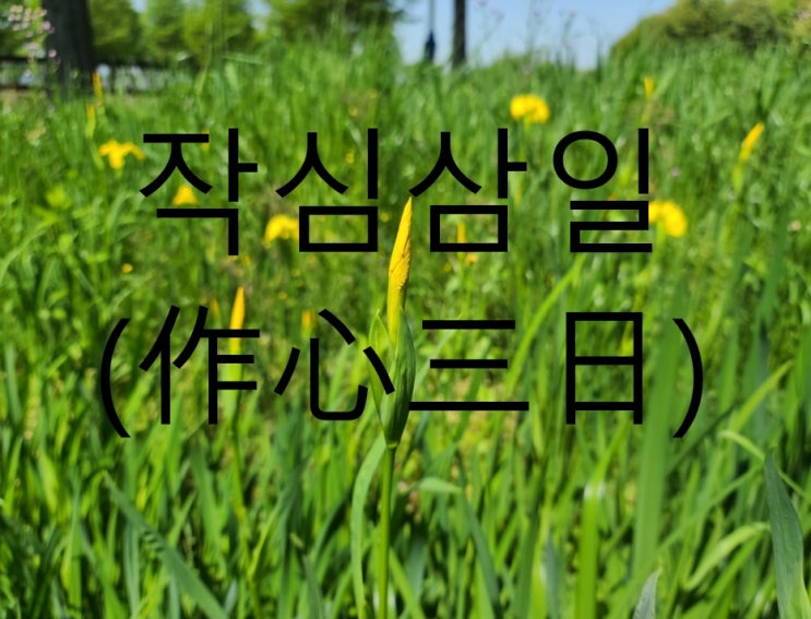  매일매일챌린지 #오늘일기(2021. 5. 3.) -작심삼일 안돼!