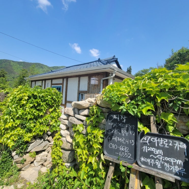  [아날로그]충남 아산 카페추천 / feat 내돈내산후기