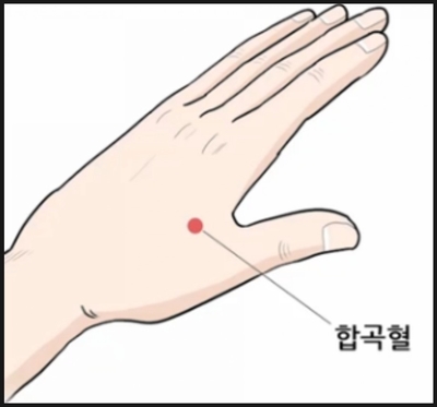  합곡혈자리 지압으로 소화기능 강화해요.
