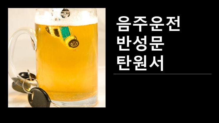  음주운전 반성문·탄원서 등 양형자료 작성대행(부산행정사)