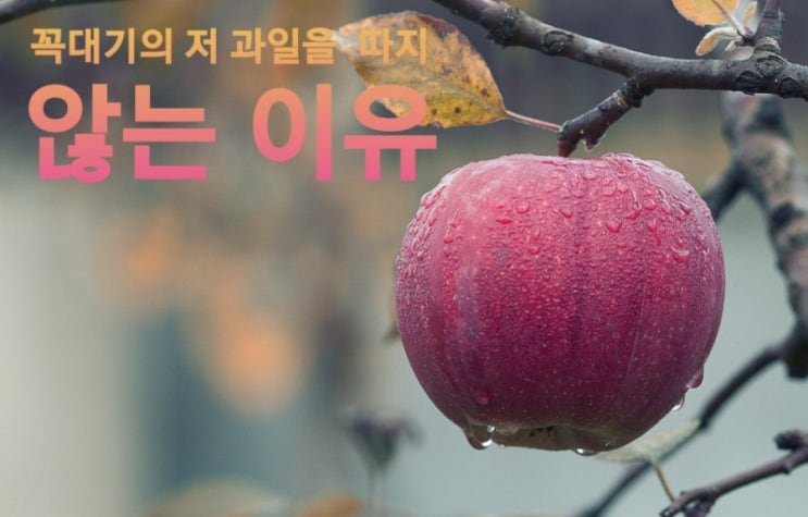   일상이 기적 