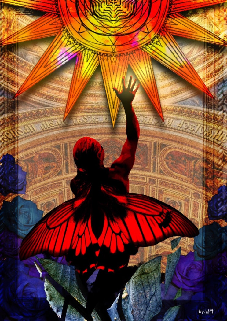  metamorphosis
