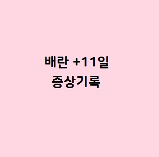  생리예정일 3일전 임테기 / 증상기록