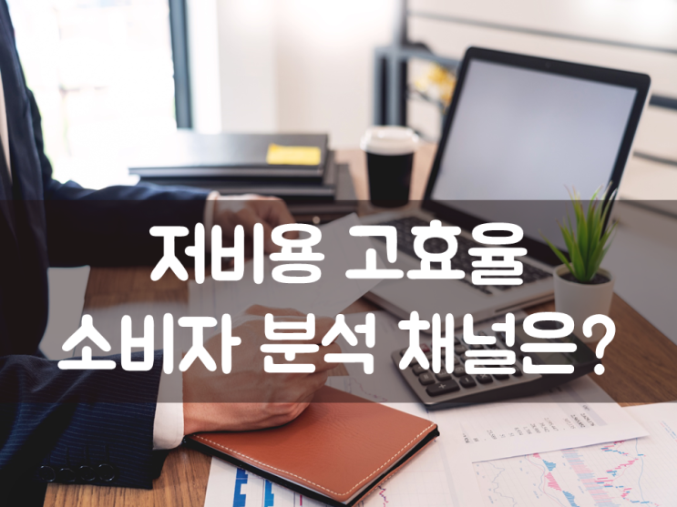  저비용 고효율 소비자 분석 채널은?