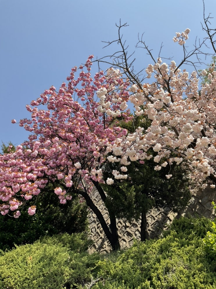  오늘의 일기