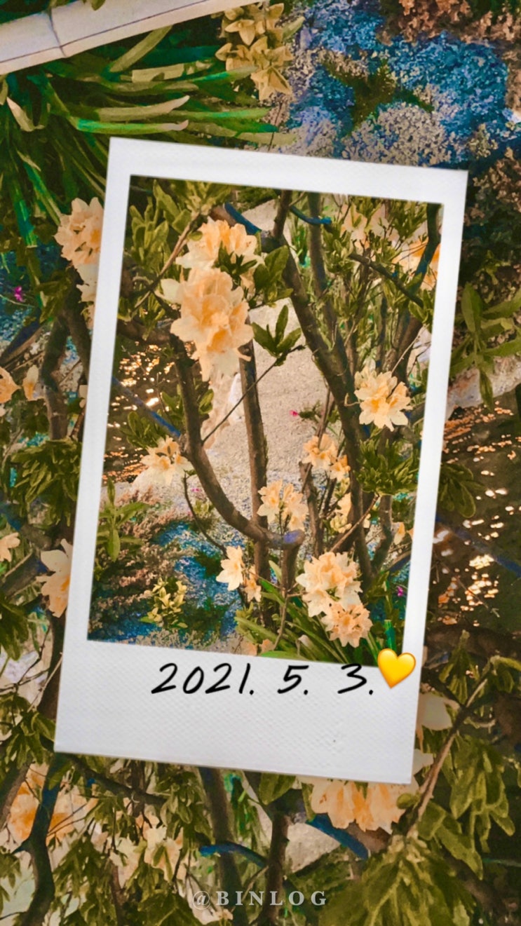  2021 5월 3일