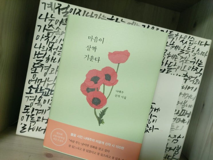 마음이 살짝 기운다 나태주시집 중 1장 너를 생각하고 너를 사랑하는일 마음이 살짝 기운다 나태주시집 중 1장 너를 생각하고 너를 사랑하는일