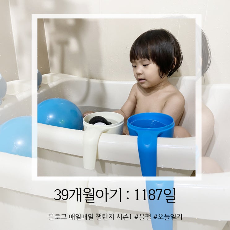  1187일, 목욕이 좋아요
