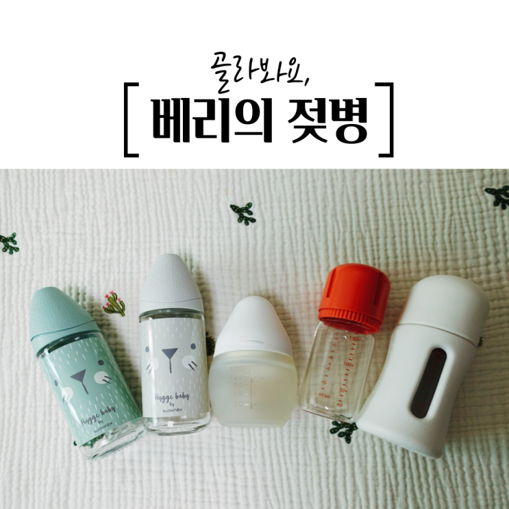  골라봐요, 베리의 젖병 (feat. 젖병 선택의 기로)