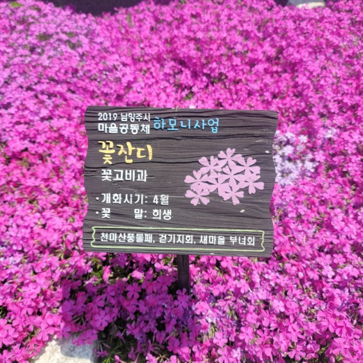  0503-3 친구야, 고민이 있는데 말이야!