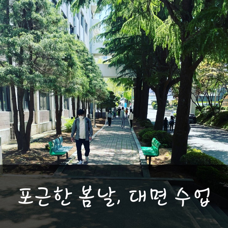  포근한 봄날, 대면수업.