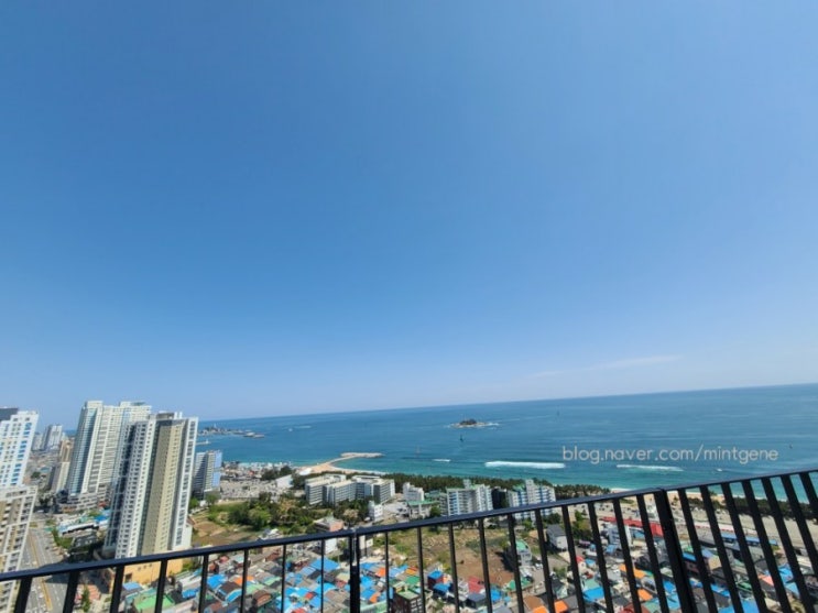  매일매일챌린지 시즌1, 블로그챌린지, <오늘일기> 3일차