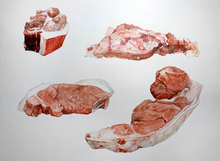  [Watercolor] Pork series 1학년 사생结课