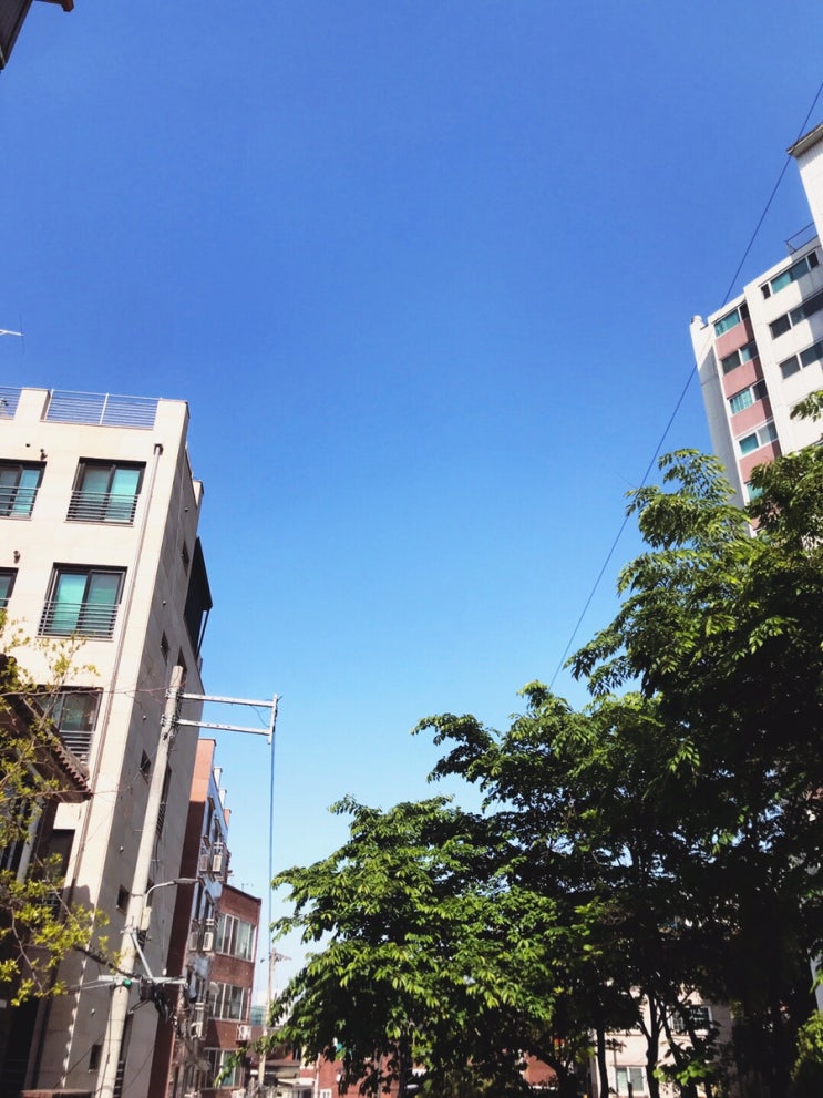  파란하늘