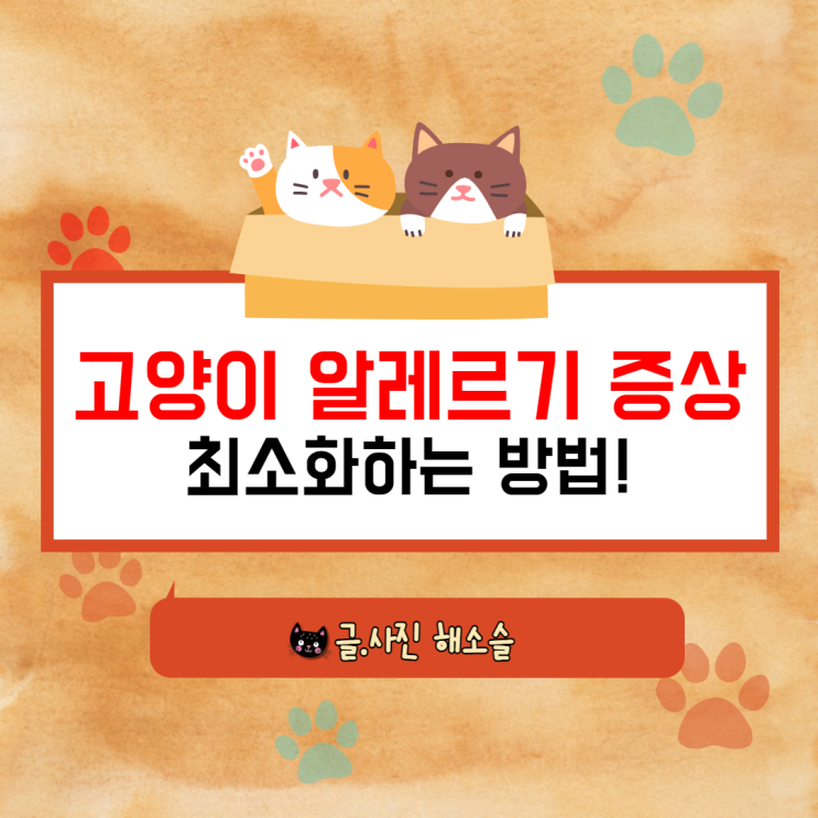 고양이 알레르기 증상 최소화하는 방법!