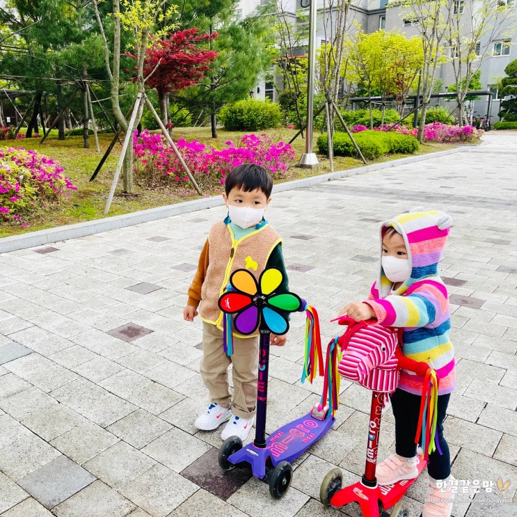  마이크로 킥보드 악세사리로 꾸민 미니 맥시로 유아 스피드즐기기