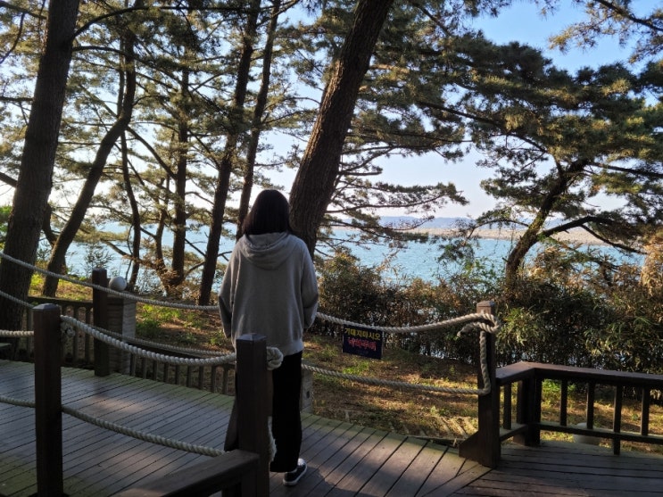  [냉풍욕장 할매농원] 보령 죽도 상하원 