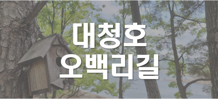  [대청호오백리길] 당일치기 대전여행 다녀왔습니다. 대청호 정말 좋네요.