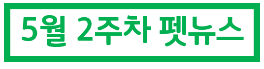  5/2주 펫뉴스 - 배달앱 요기요 반려동물용품관 입점