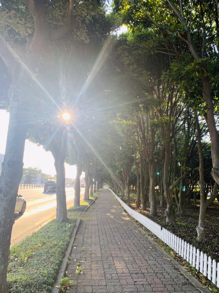  5.3 일상 기록 —도로