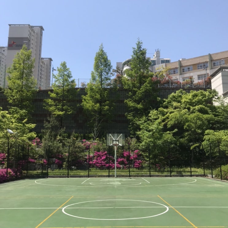  [DIARY] 오늘의 일기 : 2021-05-03