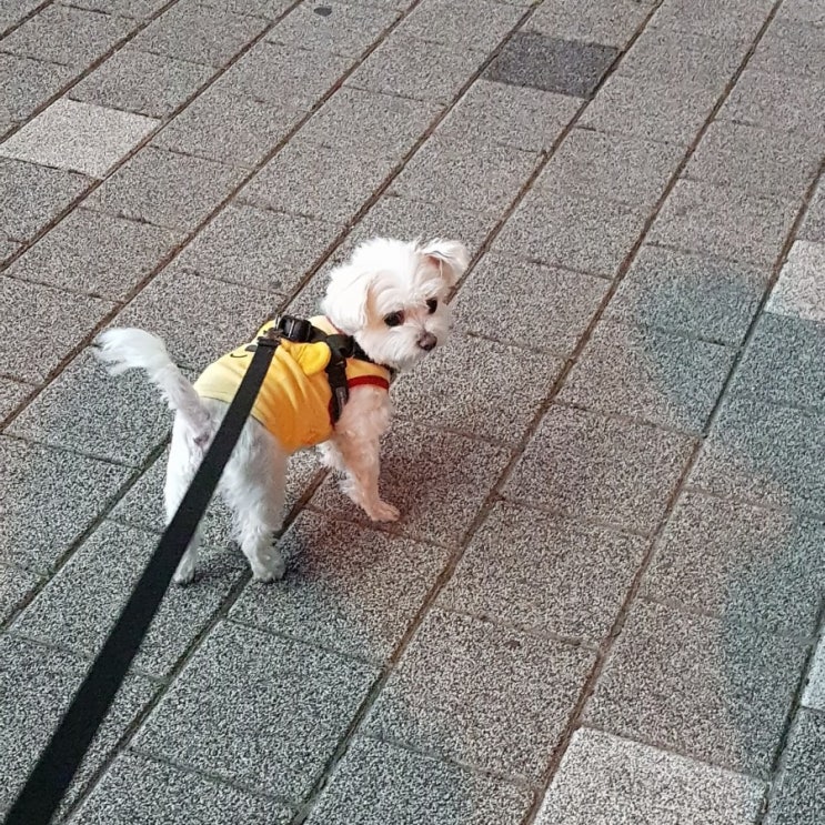  오늘일기 3일차