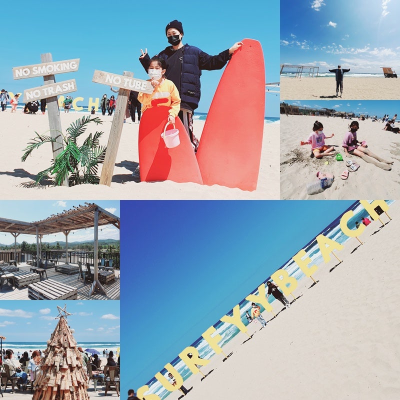 양양 서피비치 카페 이국 감성 낭만 가볼만한곳 SURFYY BEACH