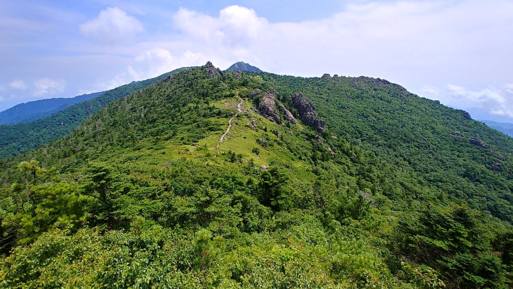 지리산 백중종주_여름 지리산 종주(백무동 - 세석대피소 - 연하선경 - 장터목대피소 - 중산리계곡 - 중산리)