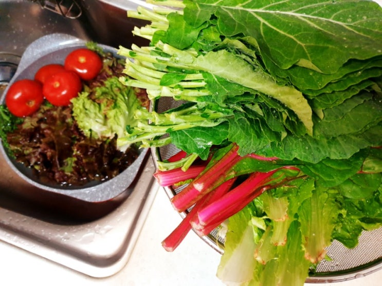 최고 맛있는 홈메이드 샌드위치! 최고 맛있는 홈메이드 샌드위치!
