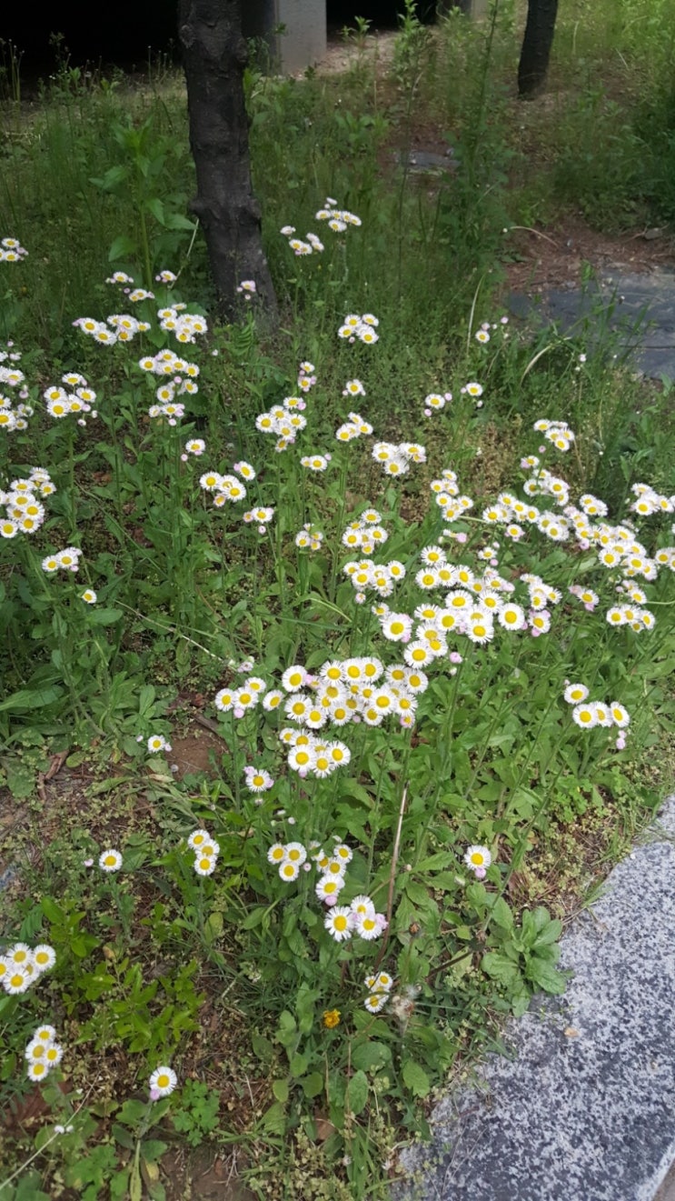  블로그 챌린지 오늘일기 5/4