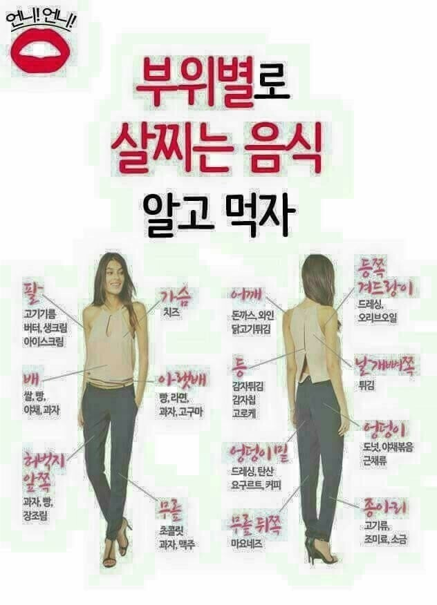  부위별 살찌는 음식