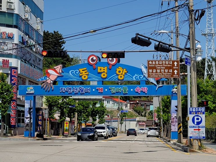 속초 동명항 싱싱한 해산물 동명활어센터 와 동명항 방파제 낚시 즐기기