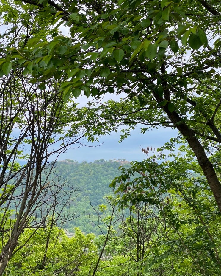  대전에서 등산하기 좋은 계족산/대전 등린이 코스/ 충남 오리 맛집 소개/ 데이트 코스 카페 추천/ 대전 여행