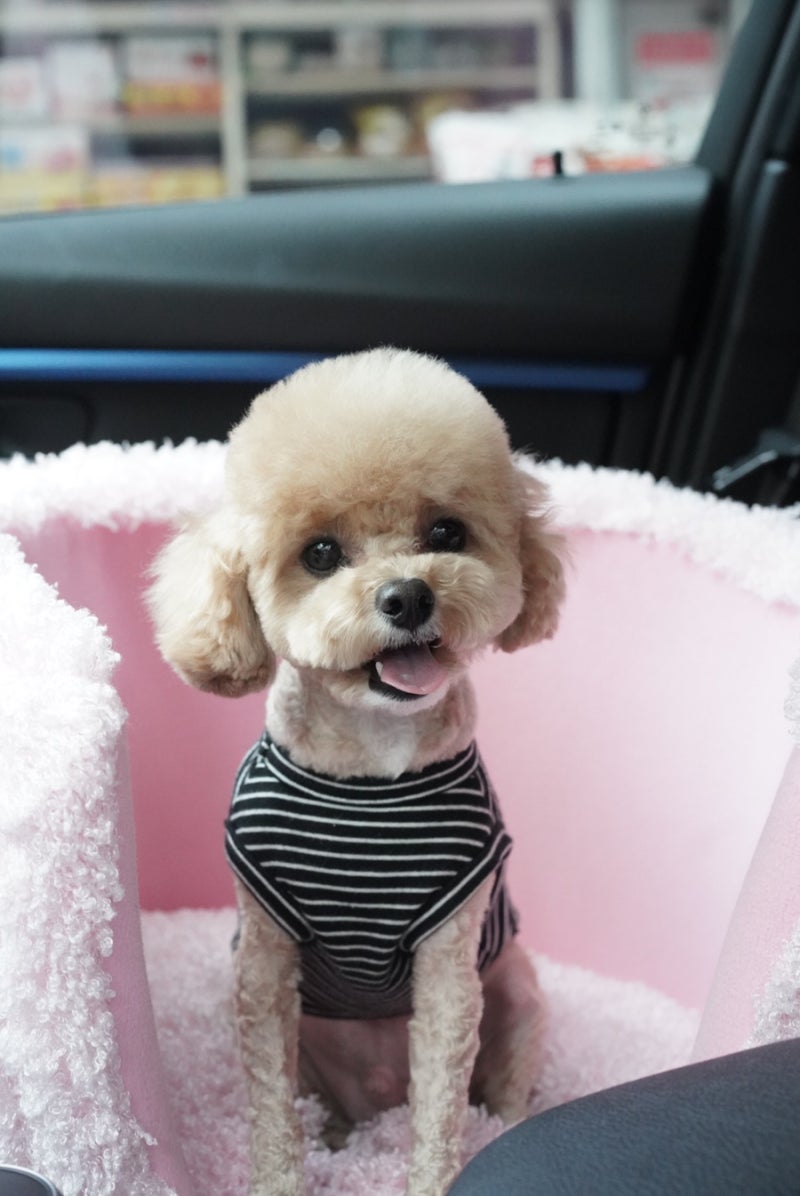 사진 5