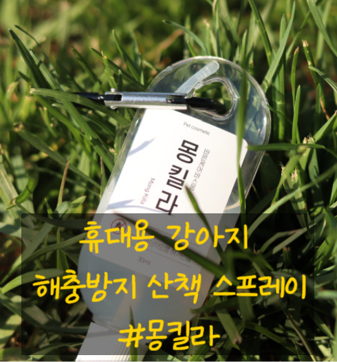  신제품 진드기 해충방지 산책스프레이 휴대용 몽킬라 출시!