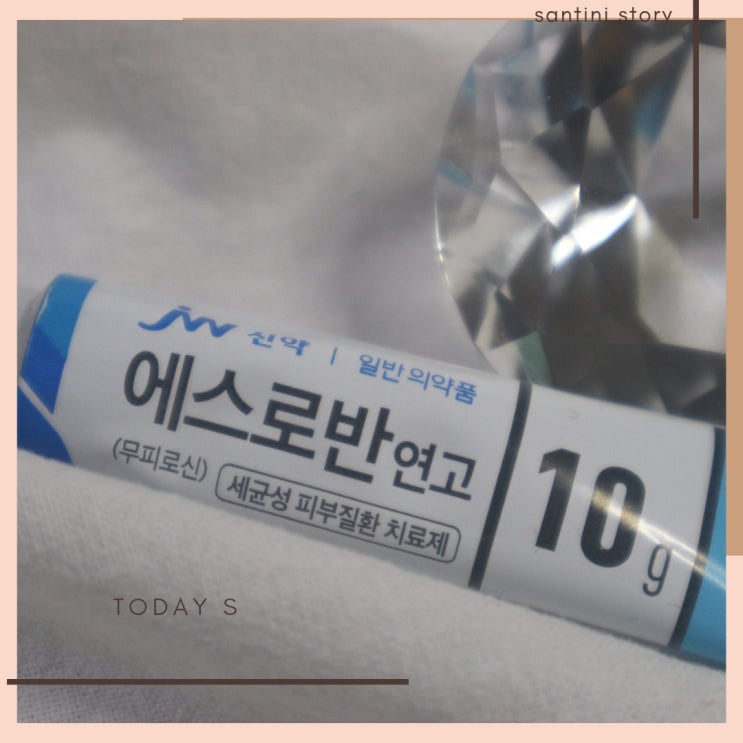 모낭염 연고 피부연고 에스로반 모낭충 박멸 효과 있을까? 모낭염 연고 피부연고 에스로반 모낭충 박멸 효과 있을까?