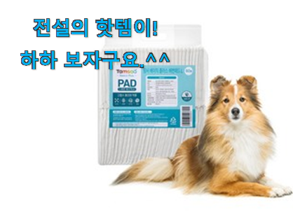 사용후기가 좋았던 요즘유행 강아지 패드 대형 확실한 꿀템 알려드립니다~ 추천합니다. 사용후기가 좋았던 요즘유행 강아지 패드 대형 확실한 꿀템 알려드립니다~ 추천합니다.