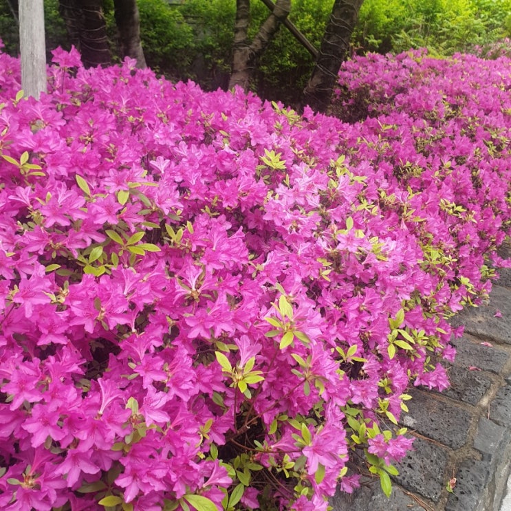  어버이날 주고 받기 원하는 선물로 알아 보는 마음??