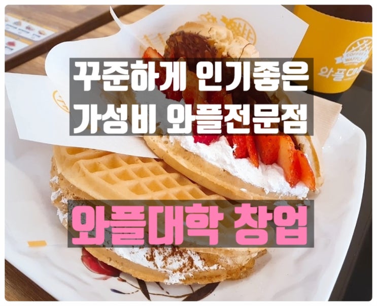 와플대학창업비용과 전망에 대해! 와플대학창업비용과 전망에 대해!