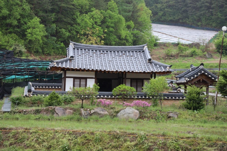  [추억은 방울방울] 경상북도 봉화군 명호면 산 속 어느 마을 이야기